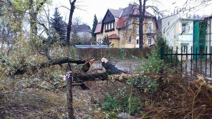 Mocno powiało w regionie