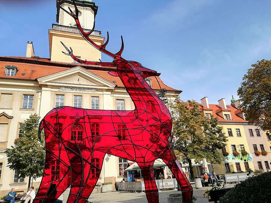 Jelonek pozostanie na Placu Ratuszowym