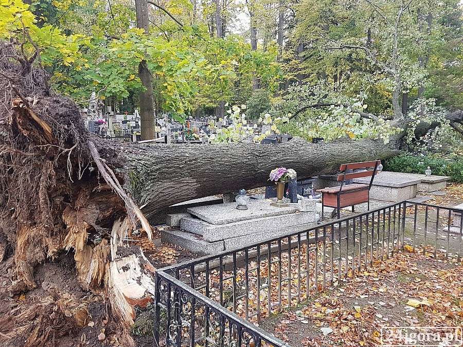 Kilkanaście grobów zniszczonych na cmentarzu w Jeleniej Górze