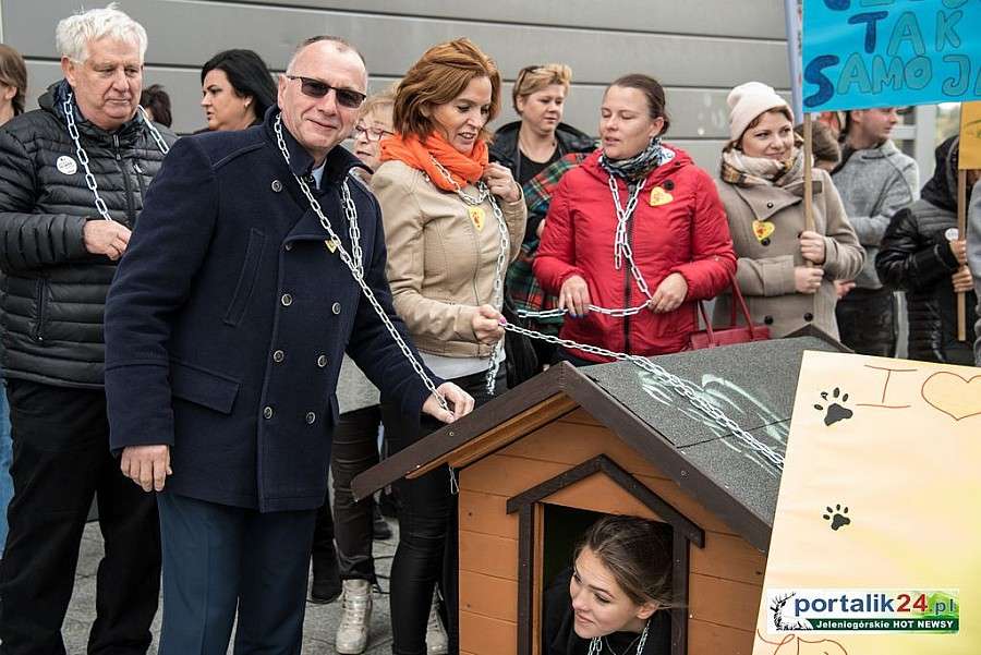 W obronie praw zwierząt