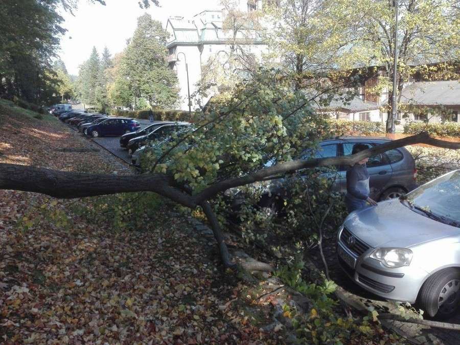 Świeradów Zdrój : Konar spadł na samochody
