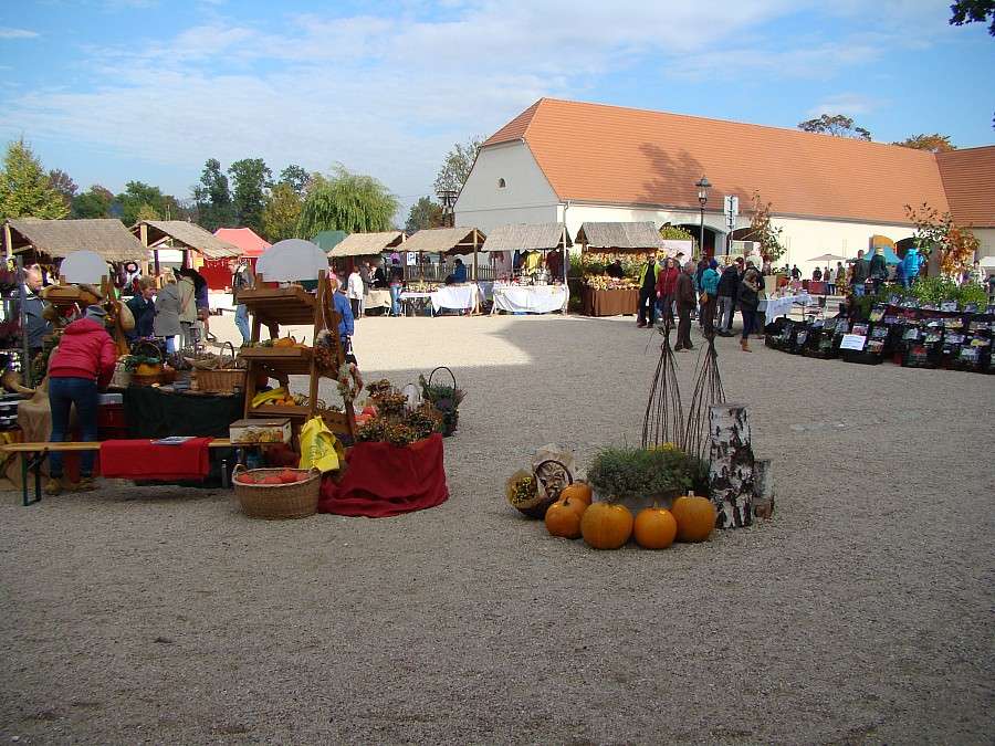 Dożynki we dworze i 