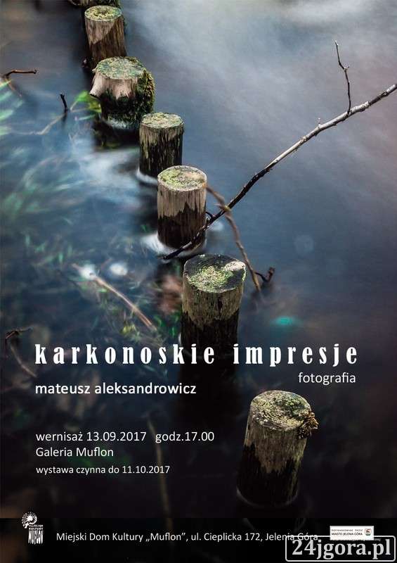 FOTOGRAFICZNE IMPRESJE W MUFLONIE