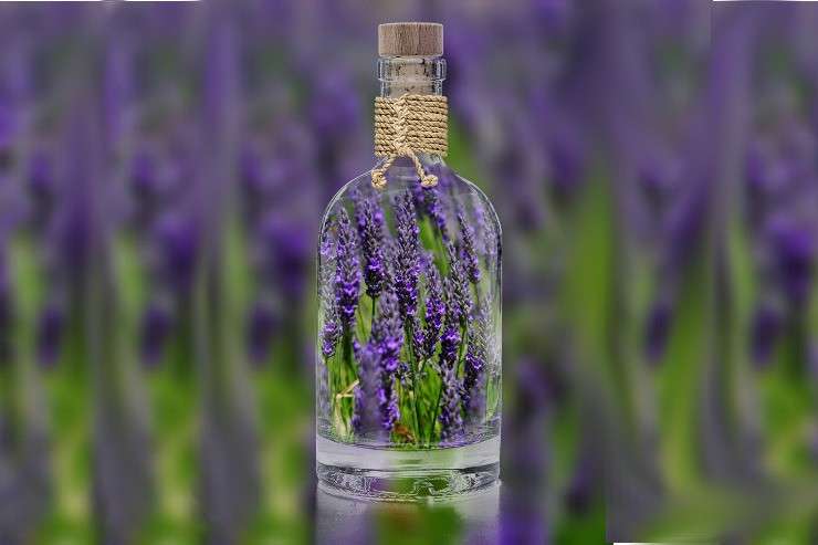 Wspomnienie lata skryte w aromatycznych kosmetykach