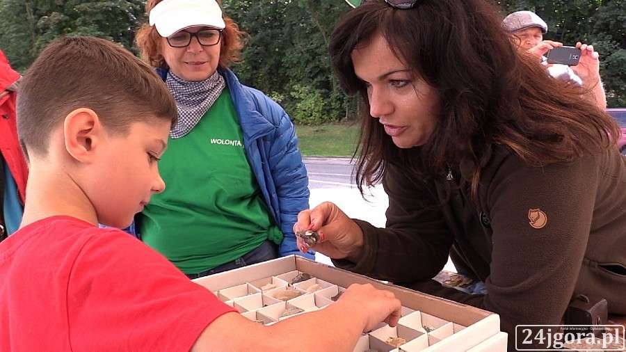 Piknik pod Chojnikiem czyli nauka poprzez zabawę (VIDEO)