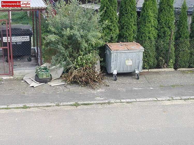Gryfowskie nieporządki