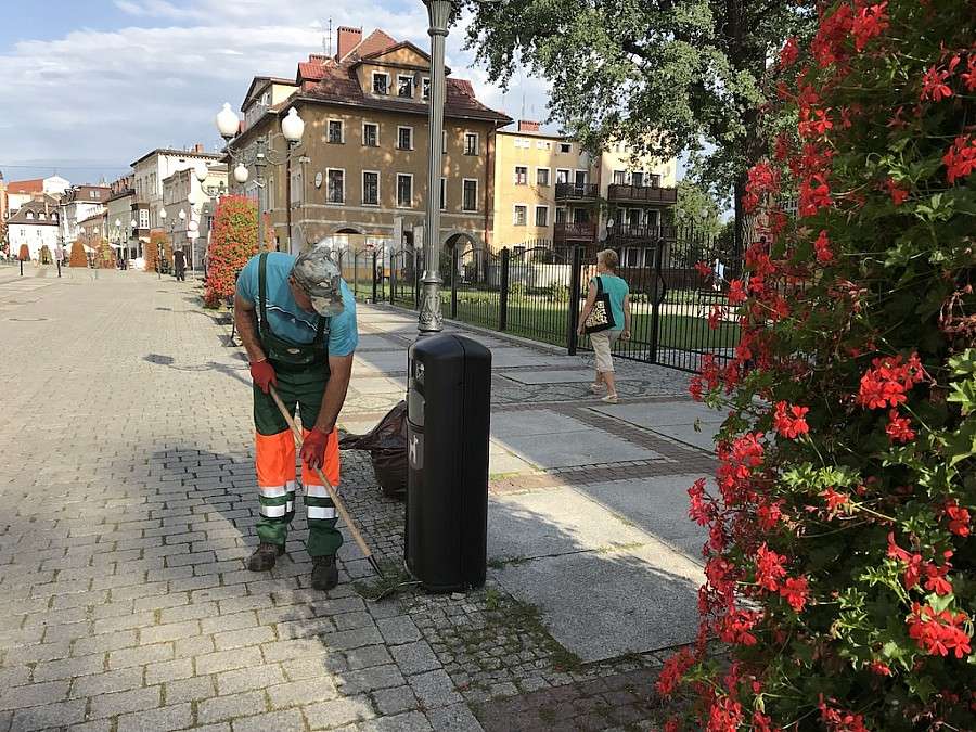 Koszą, plewią, sprzątają.