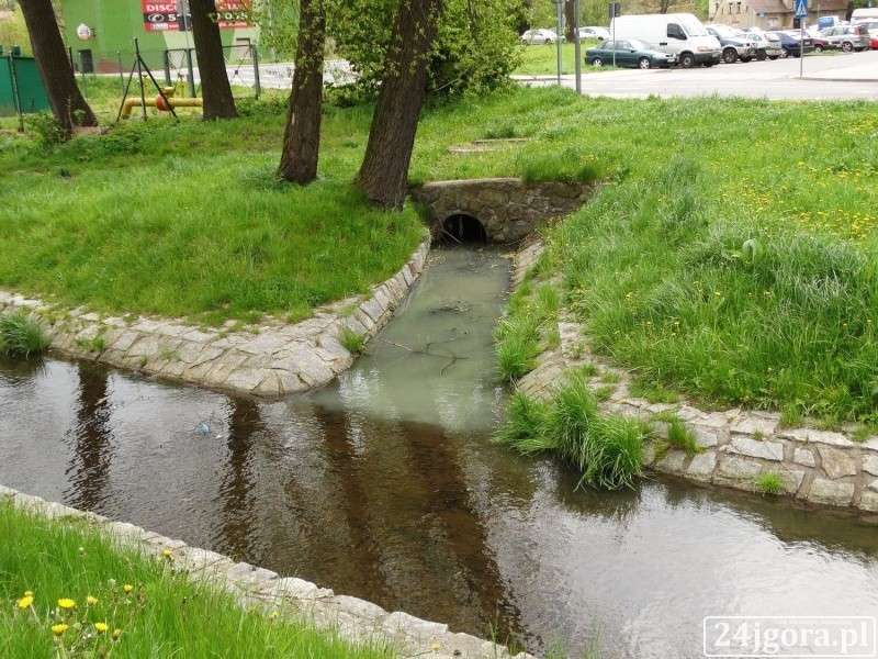 Zatruwają jeleniogórską Młynówkę