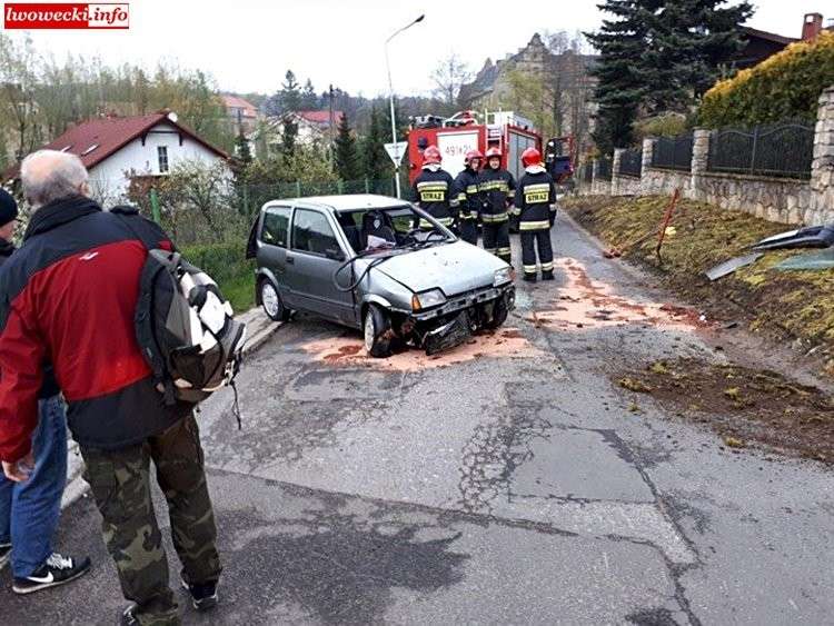 Rozbił auto żeby nie przejechać psa