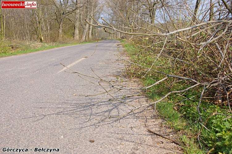 Lekkomyślność drogowców