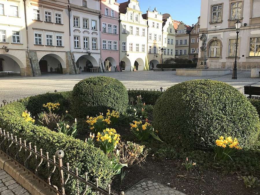 Jeleniogórska zieleń budzi się z zimowego snu