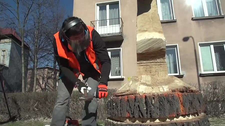 Pień ściętej topoli zmienił się w.... konika szachowego