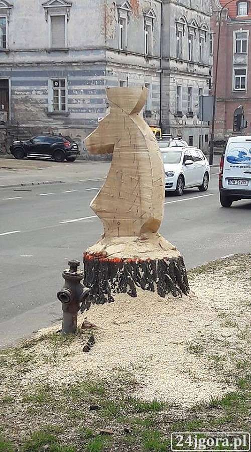 Nietypowy pomysł na ścinanie drzewa