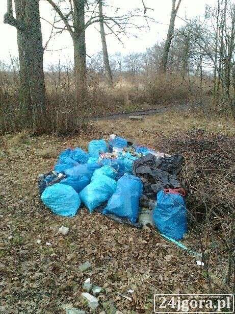 Dzikie wysypisko w Piechowicach