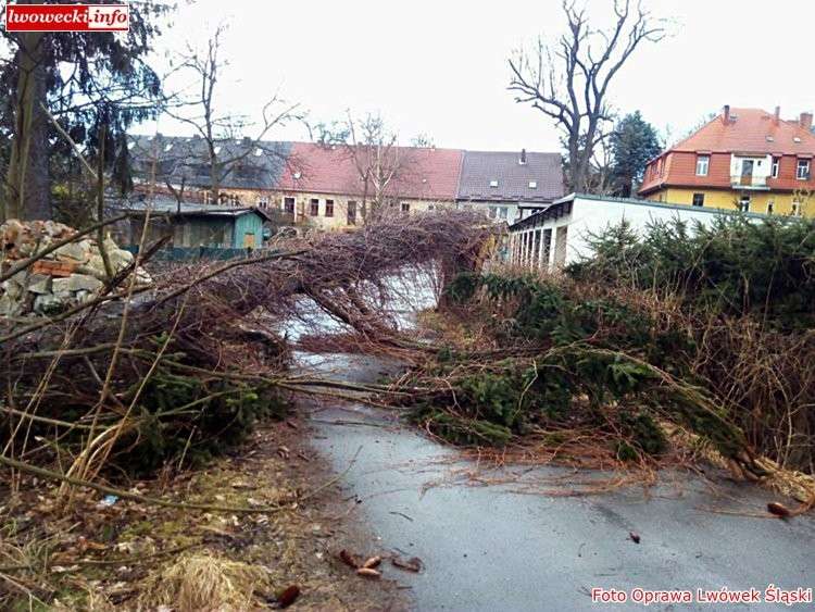 Skutki wichury