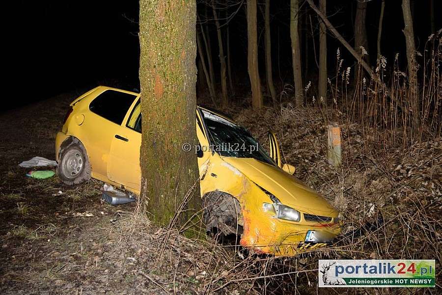 Auto rozbite na drzewie. Kierowca uciekł