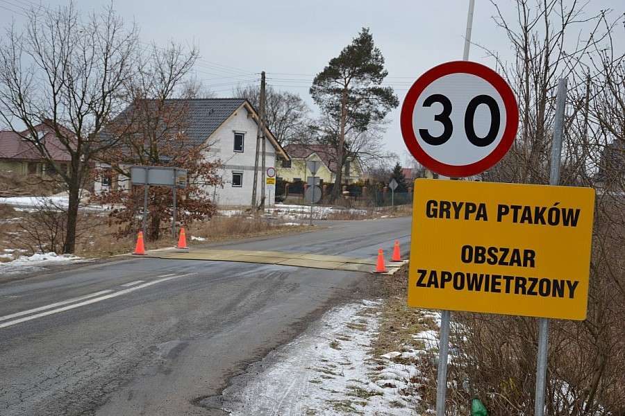 Ognisko ptasiej grypy tuż za miedzą