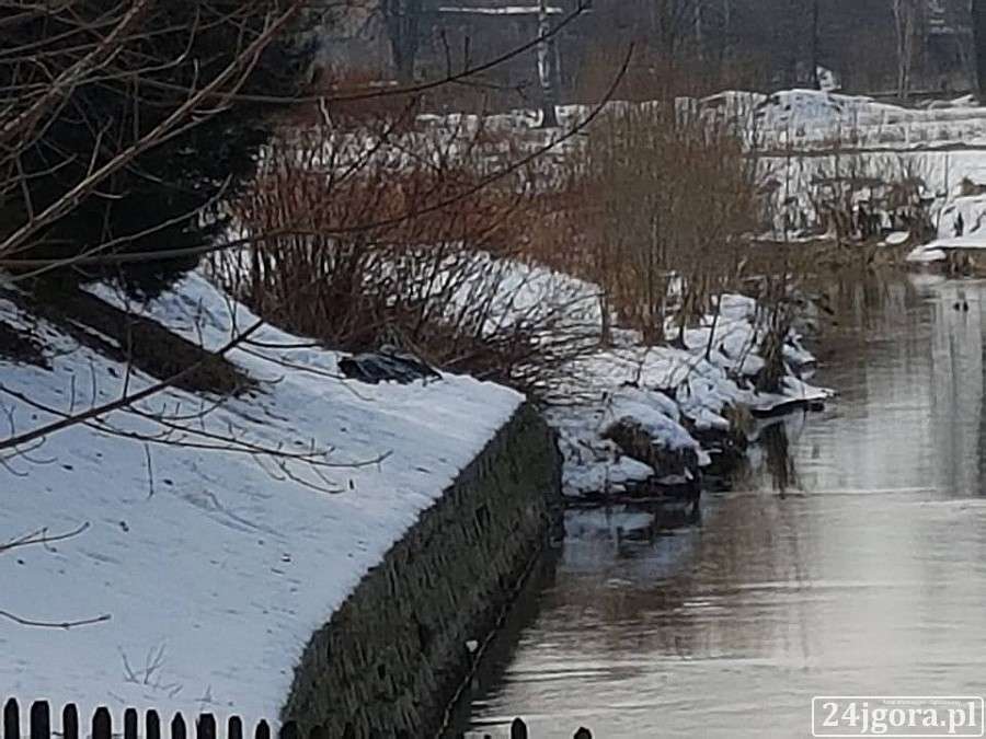 Zwłoki w rzece Kamiennej