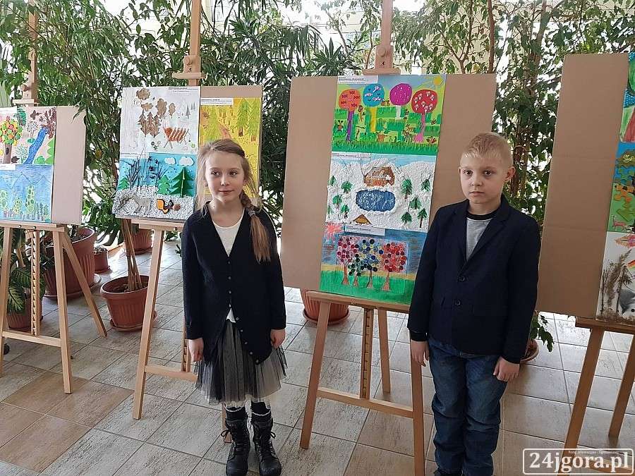 Pokazali jak powinien wyglądać wymarzony las (video)