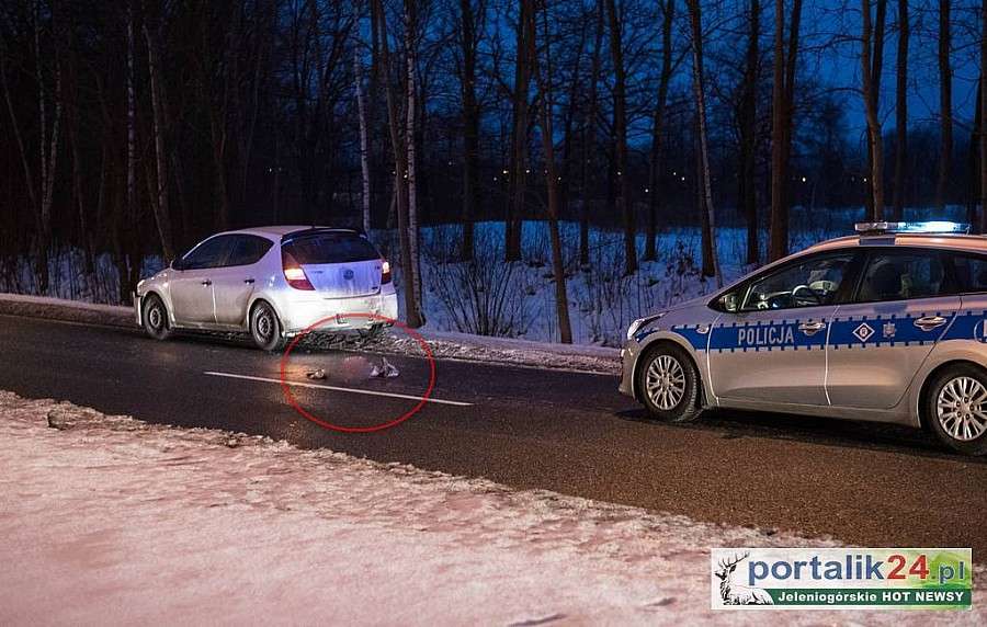 Zderzenie z sarną na Konstytucji 3 Maja