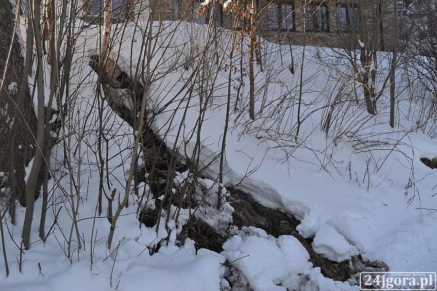 Hotel w Karpaczu zrzuca ścieki na drogę