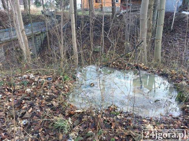 Świeradów Zdrój : Ścieki w strumieniu