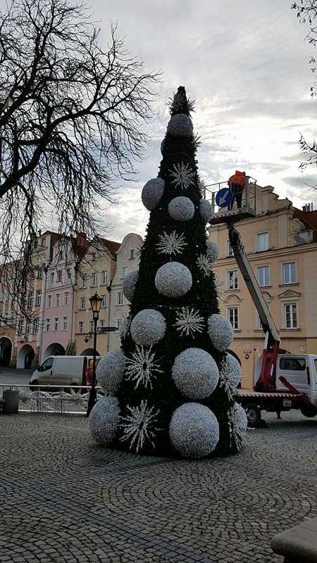 Choinka na Placu Ratuszowym