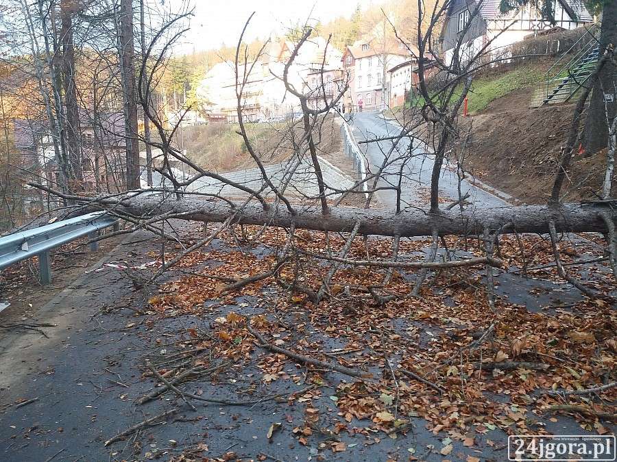 Wichura w Szklarskiej Porębie. Drzewo runęło na drogę.