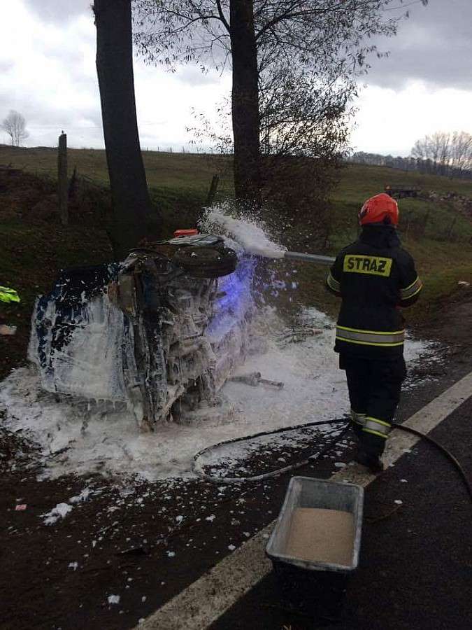 Jechał bez prawa jazdy, wypadł z drogi i uderzył w drzewo