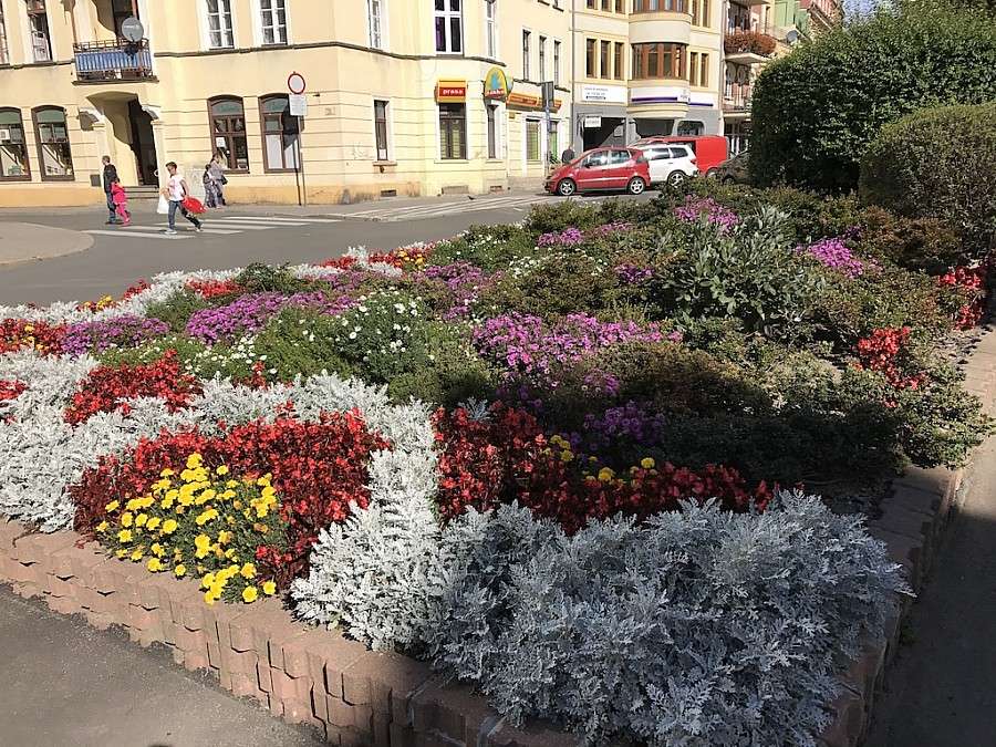 Rozpoczęły się jesienne nasadzenia kwiatów. 