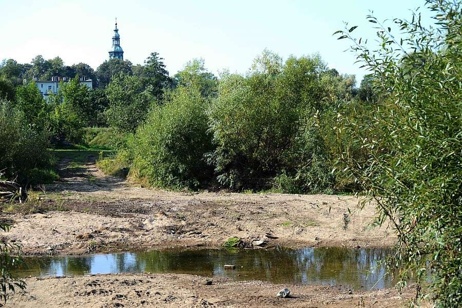 Niski poziom rzeki Bóbr