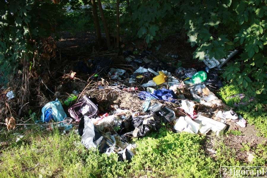 Śmietnik w centrum miasta