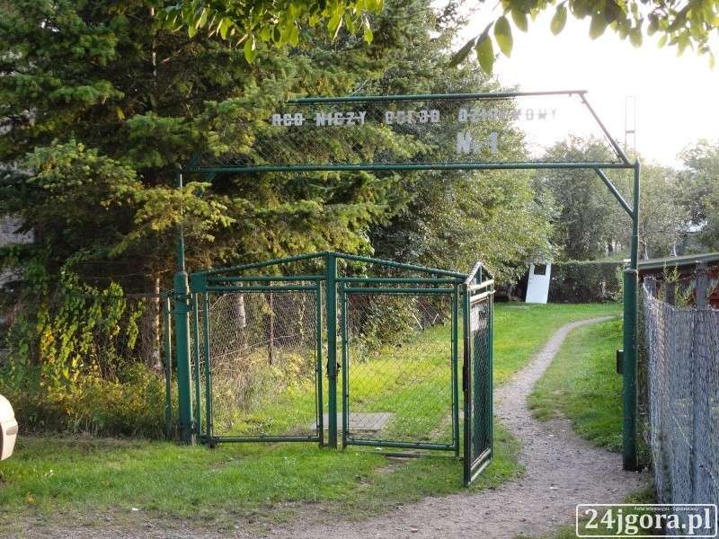 Wszystko gnije