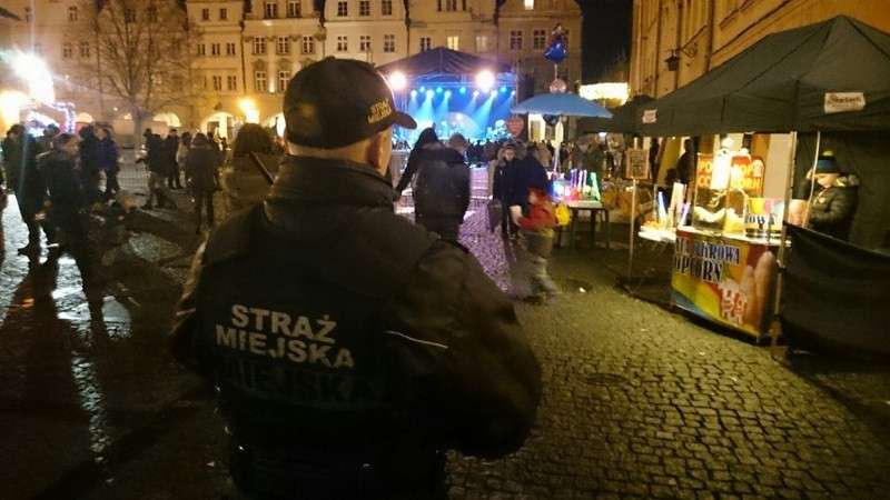 Czym zajmują się strażnicy miejscy ? 
