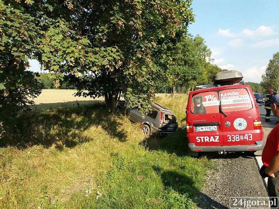 Dachowanie pod Maciejową
