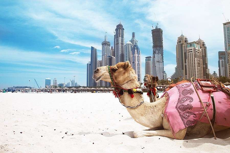 Dubaj - 7 rzeczy które warto wiedzieć