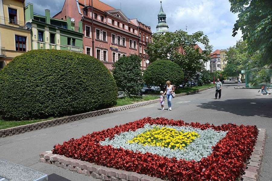 Jelenia Góra pachnie lawendą