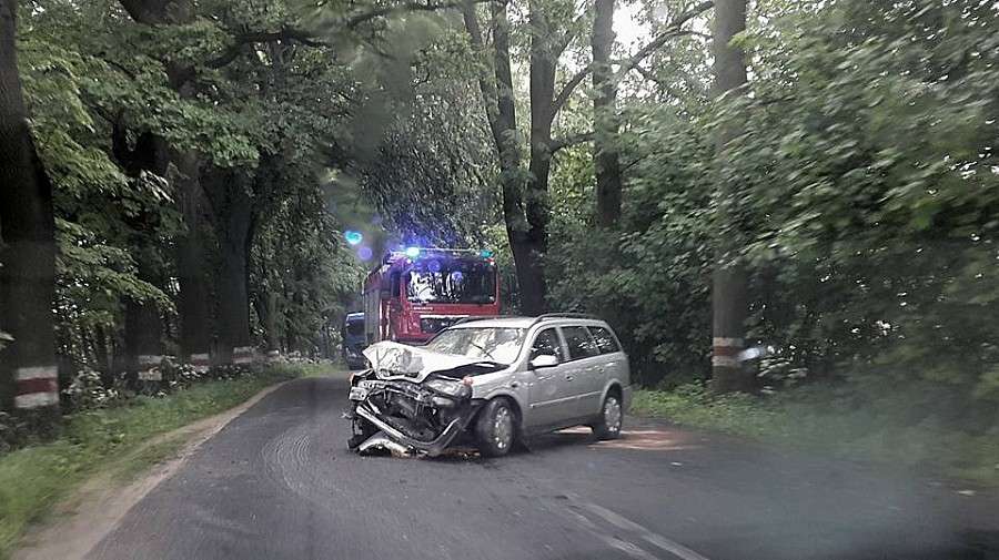 Straciła panowanie nad samochodem, uderzyła w drzewo