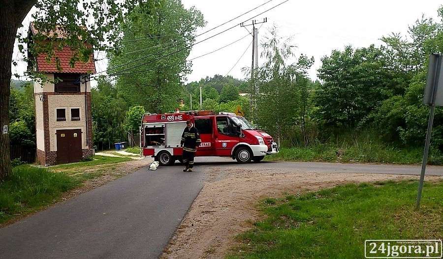 Makabryczne odkrycie w Pilchowicach. Drastyczne zdjęcie.