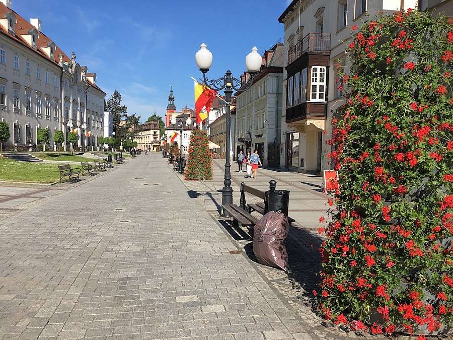 Zaczerwieniło się od pelargonii