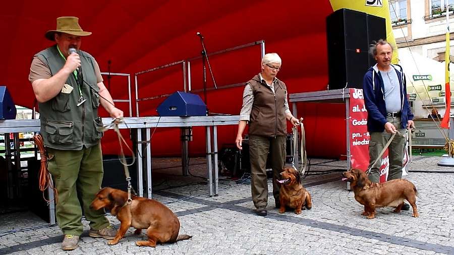 Jubileuszowa XXV Majówka ze Zwierzakami (video)