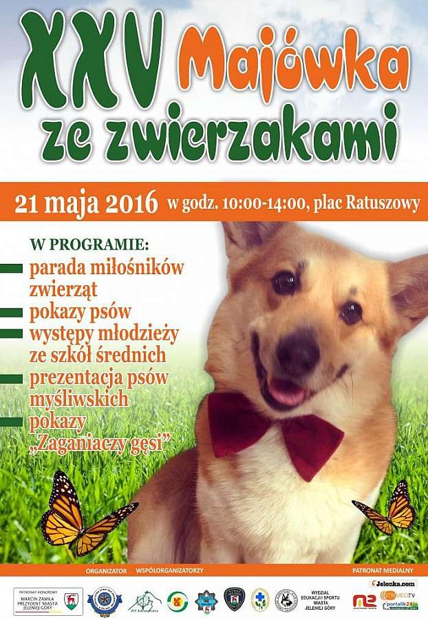 W sobotę Majówka ze zwierzakami 
