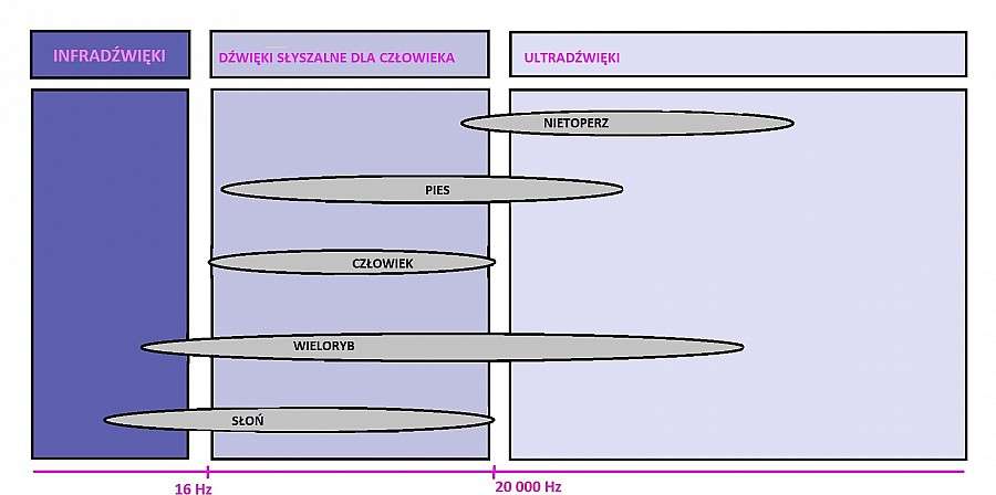 CZYSZCZENIE DŹWIĘKIEM – JAKIE ZALETY MA MYJKA ULTRADŹWIĘKOWA?