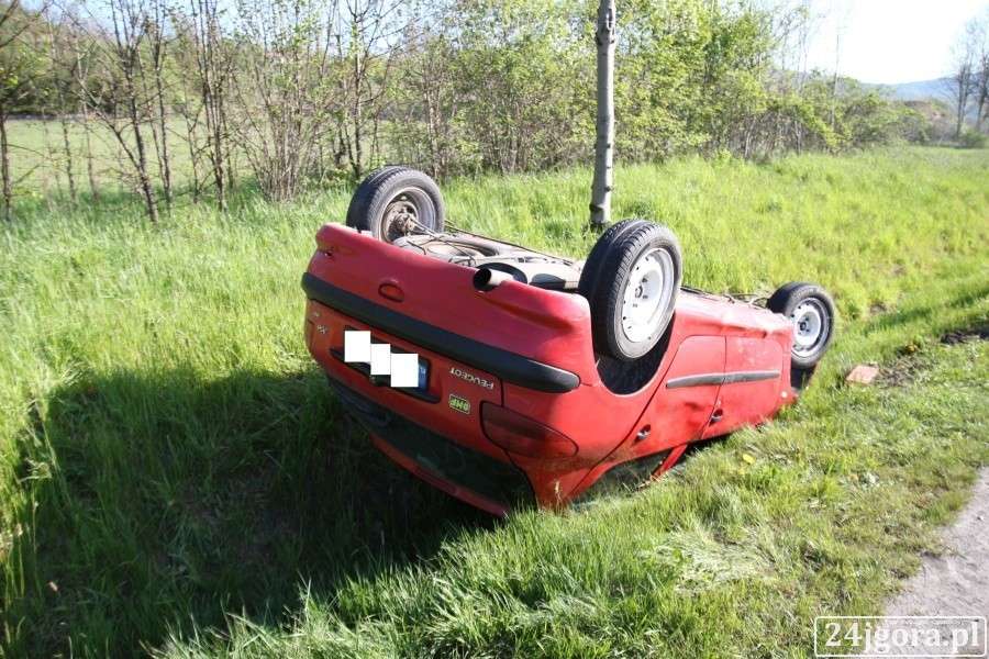 Dachowanie za Wojcieszycami