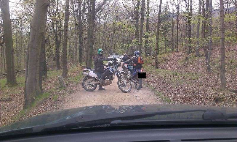 Szaleli motocyklami po lasach. Zostali ukarani mandatami.