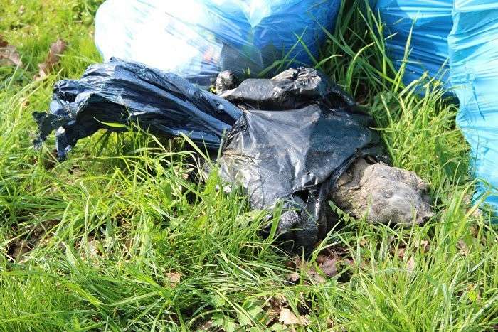 Makabryczne znalezisko podczas sprzątania brzegów jeziora