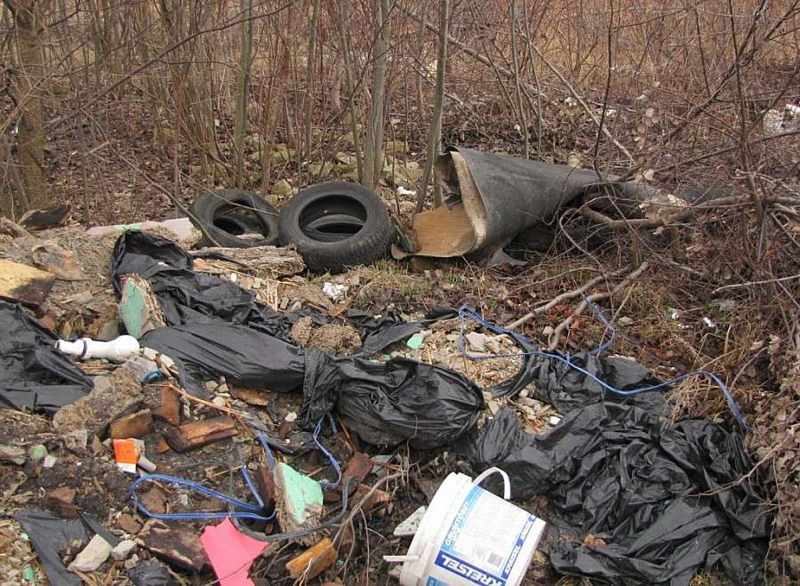 Jelenia Góra : Problem dzikich wysypisk nadal nie rozwiązany