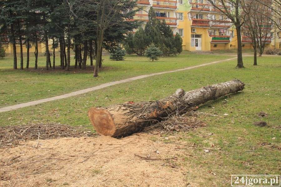 Jelenia Góra : Uciekli przed strażnikami mimo że pracowali legalnie