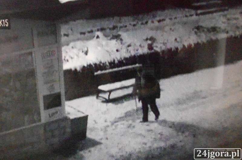 Jeleniogórski monitoring wzorem dla innych miast