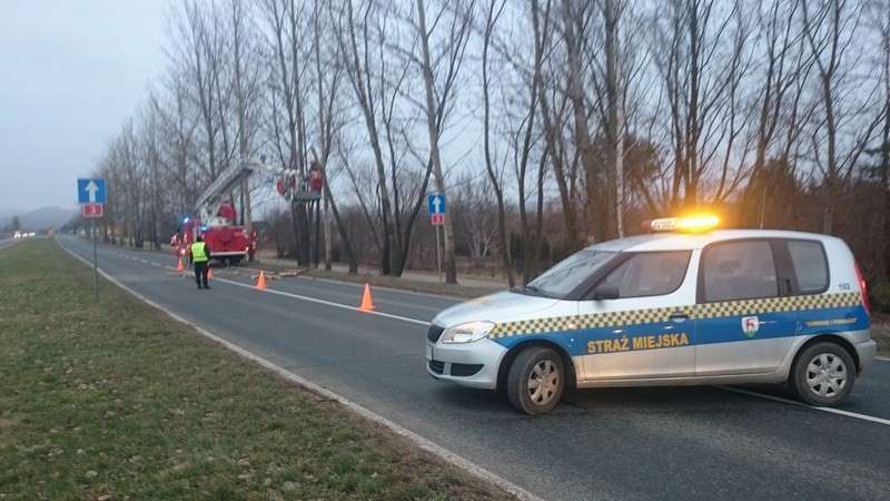 Wspólne działania strażaków i strażników miejskich na krajowej 3	